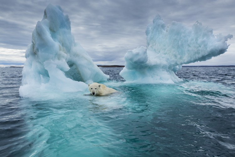 climate-comms-in-the-age-of-crisis_-pr-can-bridge-the-gap.jpg