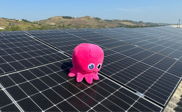 octopus.jpg